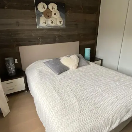 4 Pièces, 6 Personnes, Sauna, Hammam, Parking, Wifi - Fr-1-676-232 Appartement Châtel
